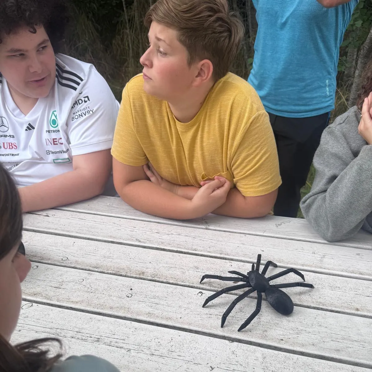 Photo 1 sur 5 : Au Jardin des Partages, dans le monde des araignées