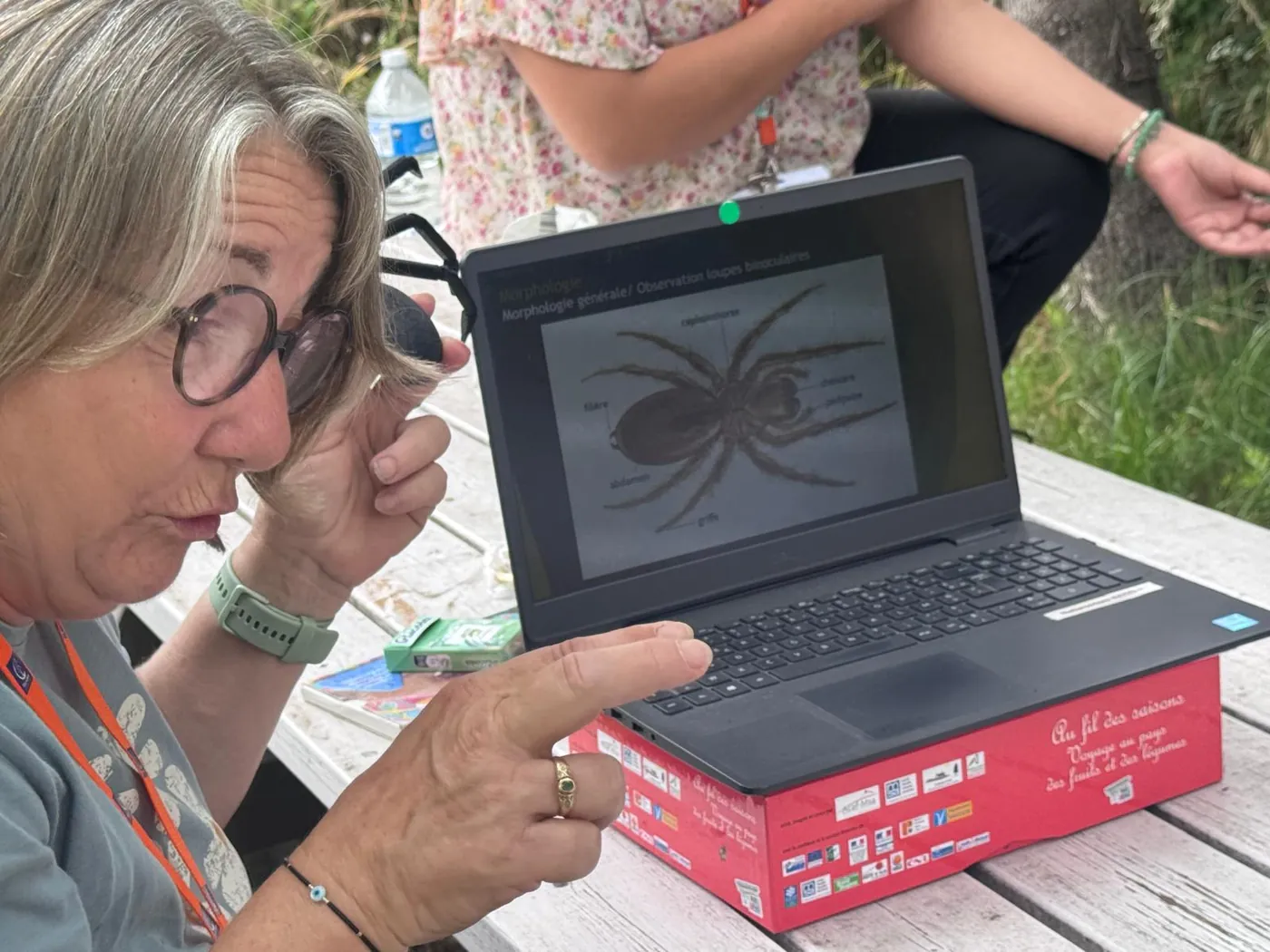 Photo 3 sur 5 : Au Jardin des Partages, dans le monde des araignées