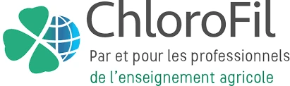 ChloroFil